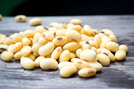 Soybean on wood backgroundの写真素材