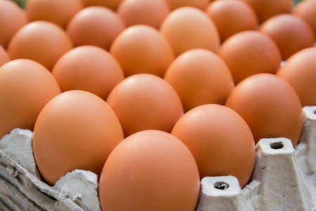 Chicken eggs in paper Panelの写真素材