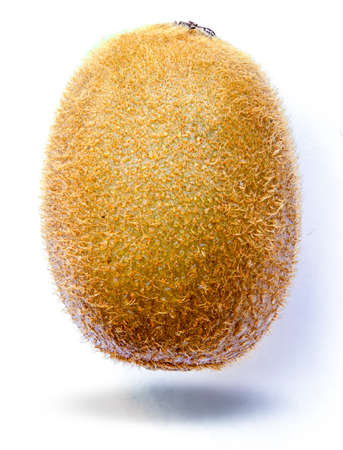 Kiwi fruit on white backgroundの写真素材