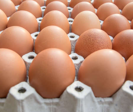 Chicken eggs in paper Panelの写真素材