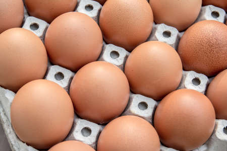Chicken eggs in paper Panelの写真素材
