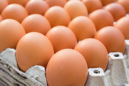Chicken eggs in paper Panelの写真素材