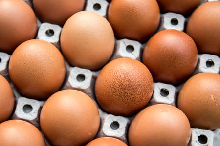 Chicken eggs in paper Panelの写真素材