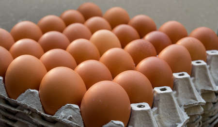 Chicken eggs in paper Panelの写真素材