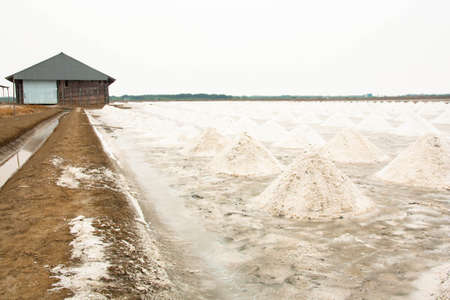 Salt Farm, salt pile in Thailandの写真素材