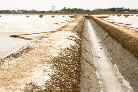 Salt Farm, salt pile in Thailandの写真素材