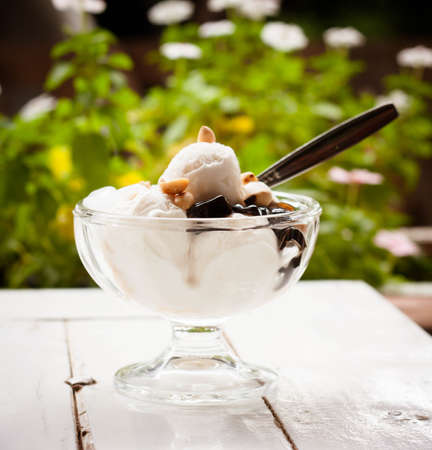Coconut ice creamの写真素材