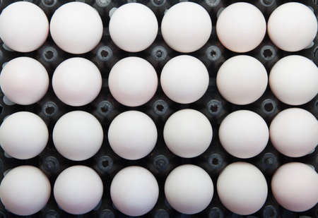 Duck eggsの写真素材