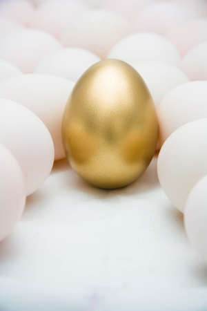 Golden eggs with duck eggs