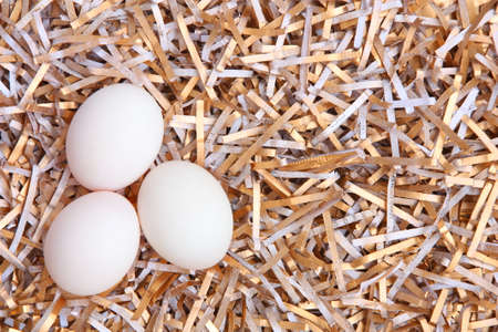 Duck eggs