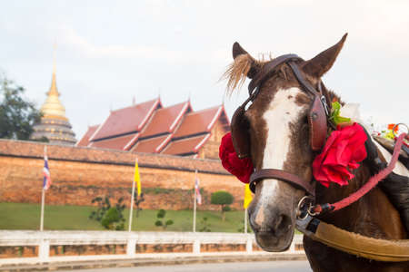 Horse carriage at temple Phra That Lampang Luang, Lampang, Thailandの写真素材