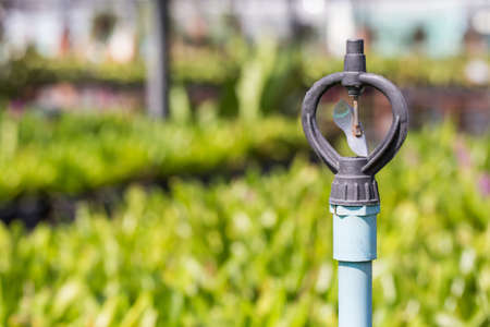 Water sprinkler in the gardenの写真素材