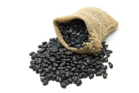 Black beans on white backgroundの写真素材