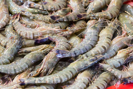 Fresh shrimp at the marketの写真素材