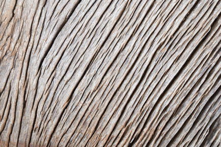 wood texture backgroundの写真素材