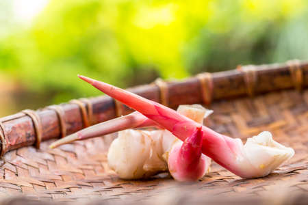 Galangal on bamboo surfaceの写真素材