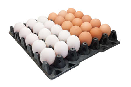 Chicken eggs and duck eggs on white background