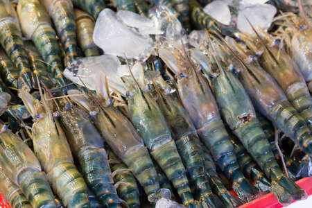 Fresh shrimp in the marketの写真素材