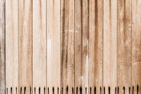 Texture of wood backgroundの写真素材