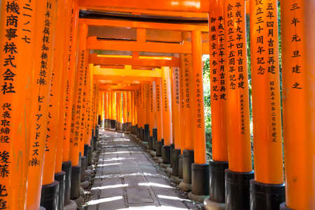 Torii gates in Fushimi Inari Shrine, Kyoto, Japanのeditorial素材