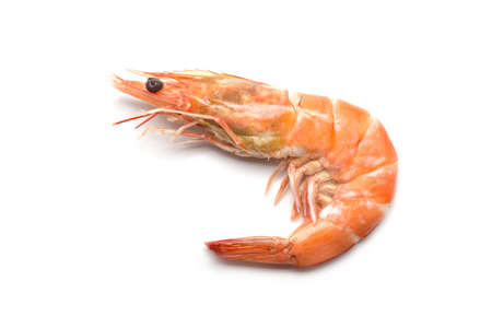 Shrimp isolated on white backgroundの写真素材
