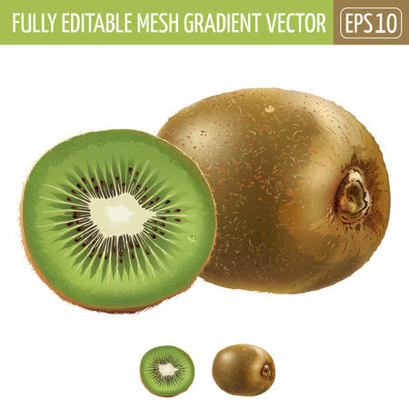 Kiwi and his sliced segment. Isolated illustration on white background.のイラスト素材