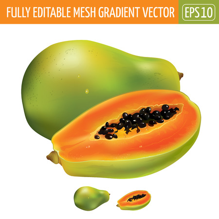 Papaya or pawpaw. Isolated illustration on white background.のイラスト素材