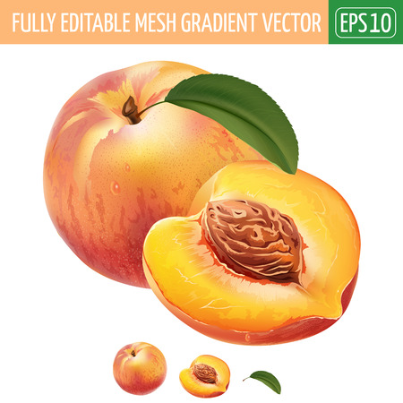 Peach with leaves. Isolated illustration on white background.のイラスト素材