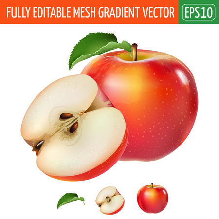 Red apple with leaves. Isolated illustration on white background.のイラスト素材