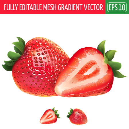 Strawberry and his sliced segment. Isolated illustration on white background.のイラスト素材