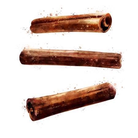Cinnamon on white background. Watercolor illustrationの写真素材
