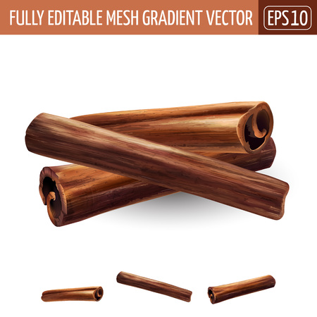 Cinnamon on white background. Vector illustrationのイラスト素材