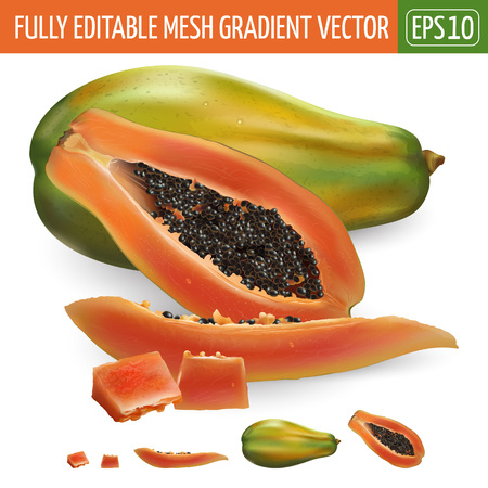 Papaya on white background. Vector illustrationのイラスト素材