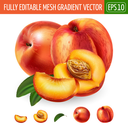 Peach on white background. Vector illustrationのイラスト素材