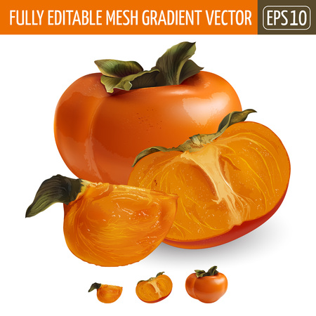 Persimmon on white background. Vector illustrationのイラスト素材