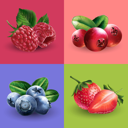 Raspberries, cranberries, blueberries and strawberriesのイラスト素材