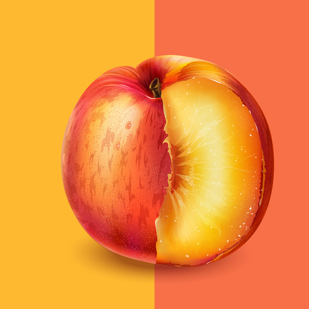 Peach on pink backgroundの写真素材