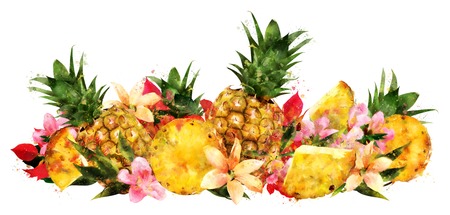 Pineapple on white background. Watercolor illustrationの写真素材