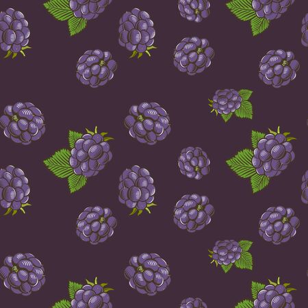 Seamless pattern with blackberries on a dark background in vintage styleのイラスト素材