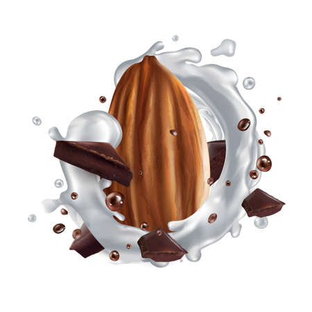 Almond, pieces of dark chocolate and a splash of milk. Realistic illustration.のイラスト素材