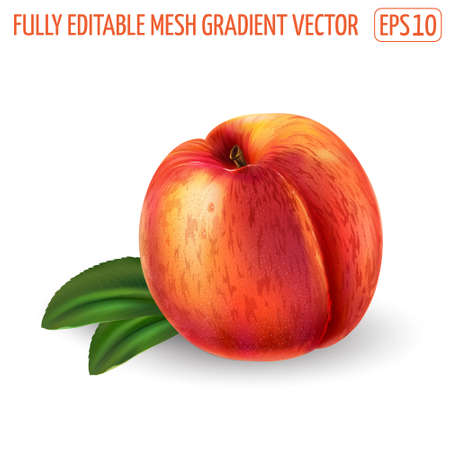 Peach with leaves on a white background.のイラスト素材