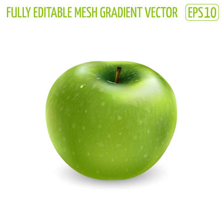 Fresh green apple on a white background.のイラスト素材