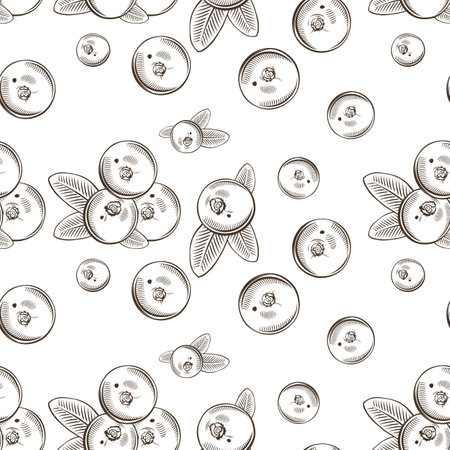 Black and white seamless pattern with cranberries in vintage styleのイラスト素材