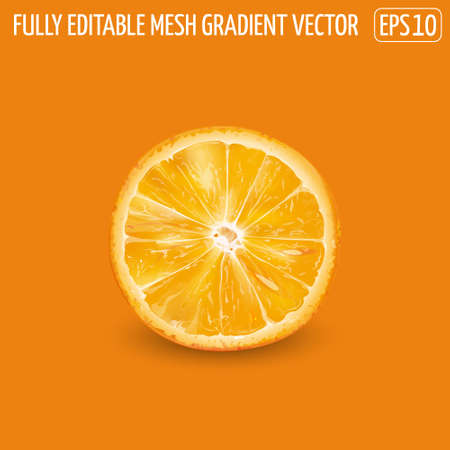 Round orange slice on an orange background.のイラスト素材