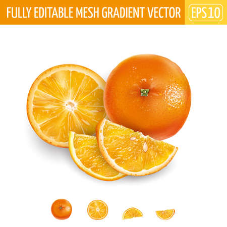 Whole orange and sliced on a white background.のイラスト素材