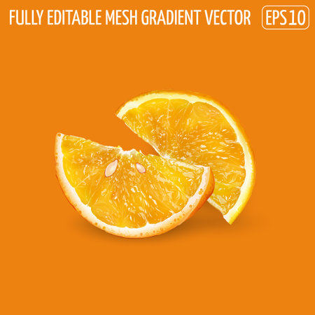 Two orange slices on an orange background.のイラスト素材