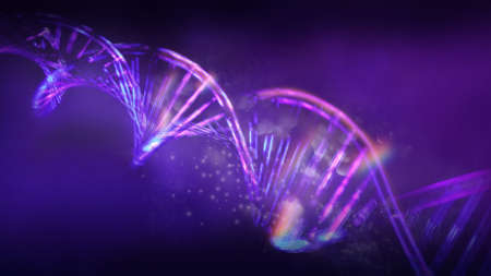 Luminous DNA strands on a dark violet background, 3D render.の写真素材