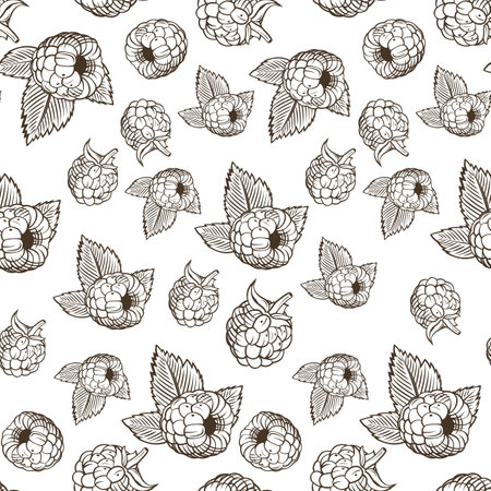 Black and white seamless pattern with raspberries in vintage styleのイラスト素材