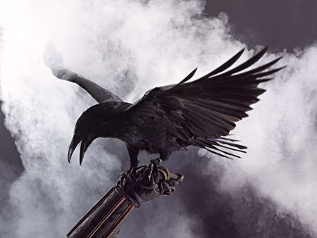Big Black Raven in the smokeの写真素材