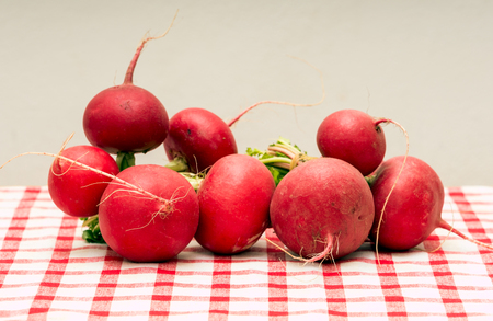 Fresh radishes link with roots from the garden on the tableの写真素材